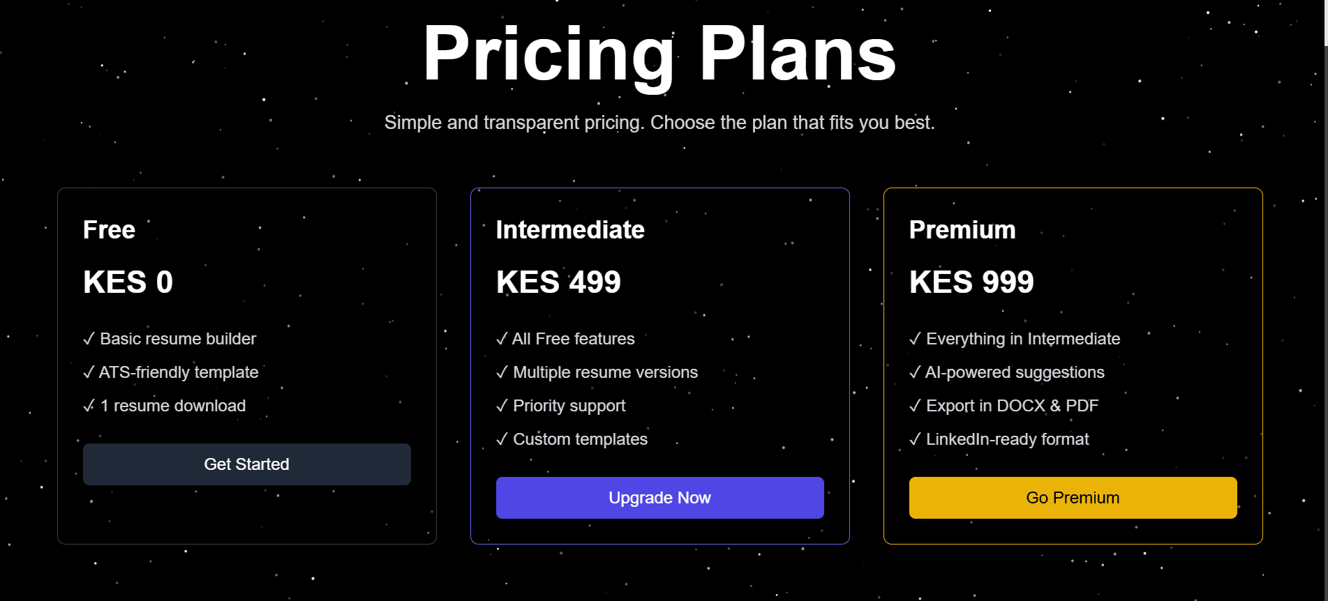 Resume maker preview 2