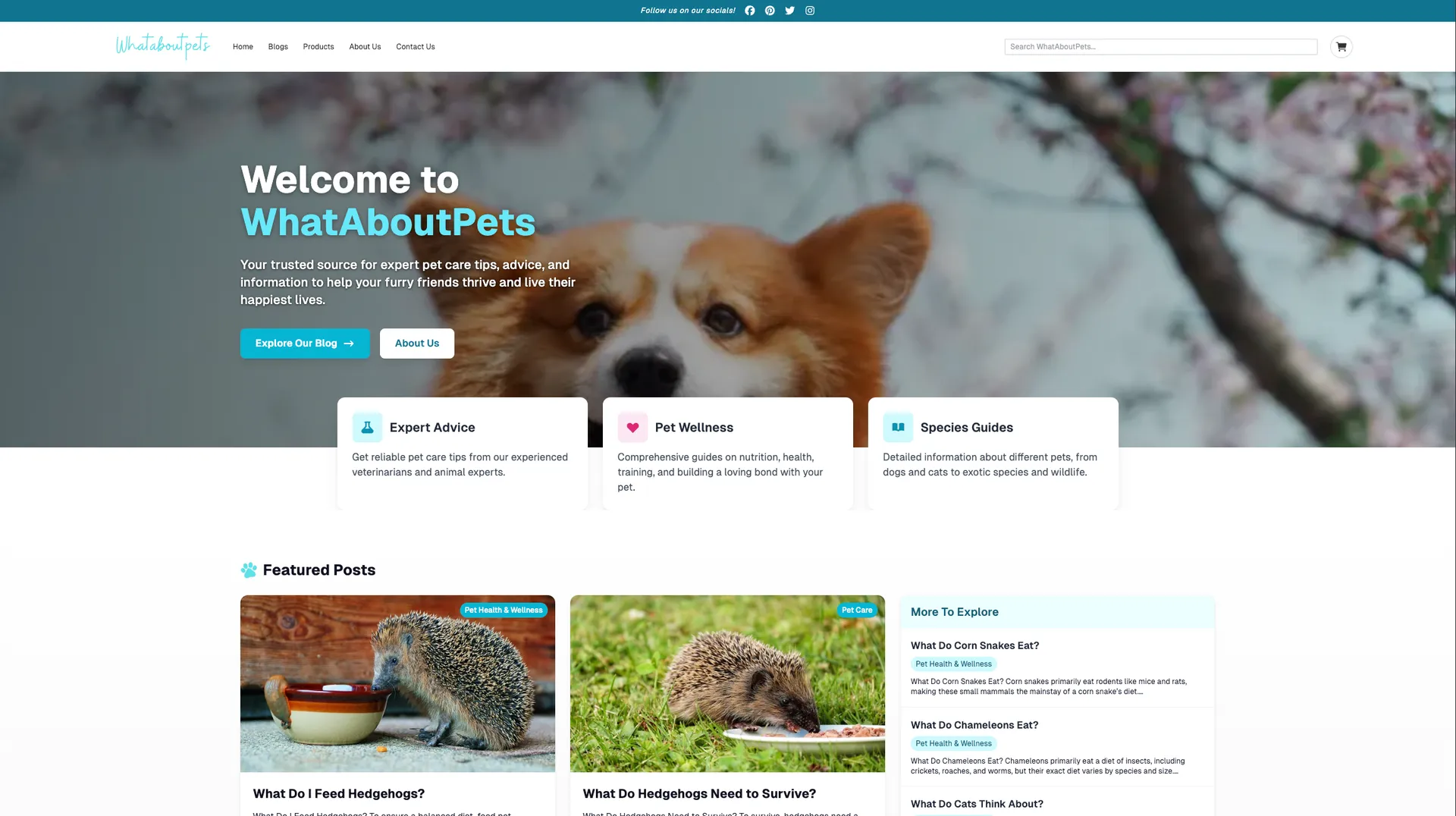 WhatAboutPets preview 2